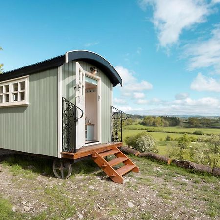 The Heron Shepherds Hut At Lyth Valley Brigsteer Bagian luar foto